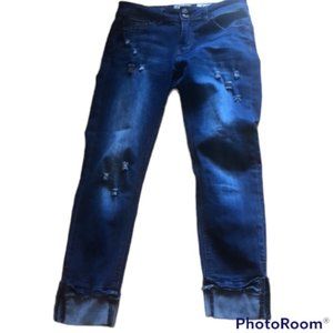 INDIGO REIN ankle jeans size 7